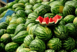 吃瓜爆料杭州小网红事件