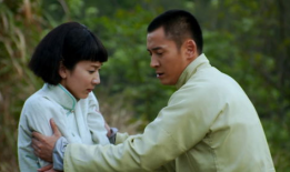 爱情悠悠药草香电视剧全集在线观看,浪漫邂逅，药香弥漫的甜蜜传奇