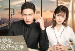 女总裁的电视剧